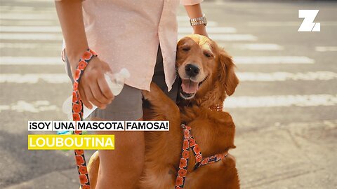 Mascotas famosas: Louboutina