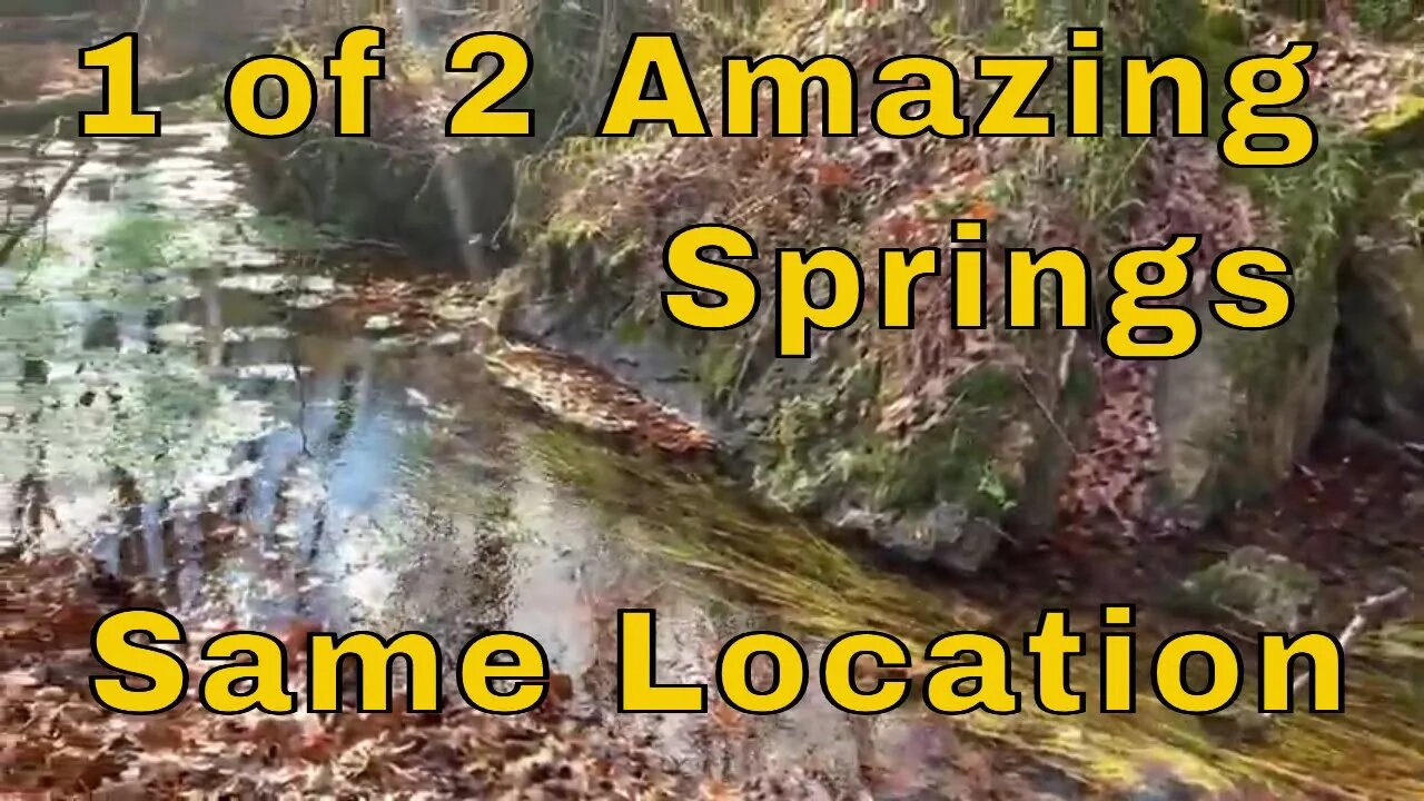 Amazing 2 Springs Current River