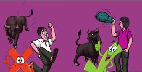 13 Tips To survive wild animal attacks