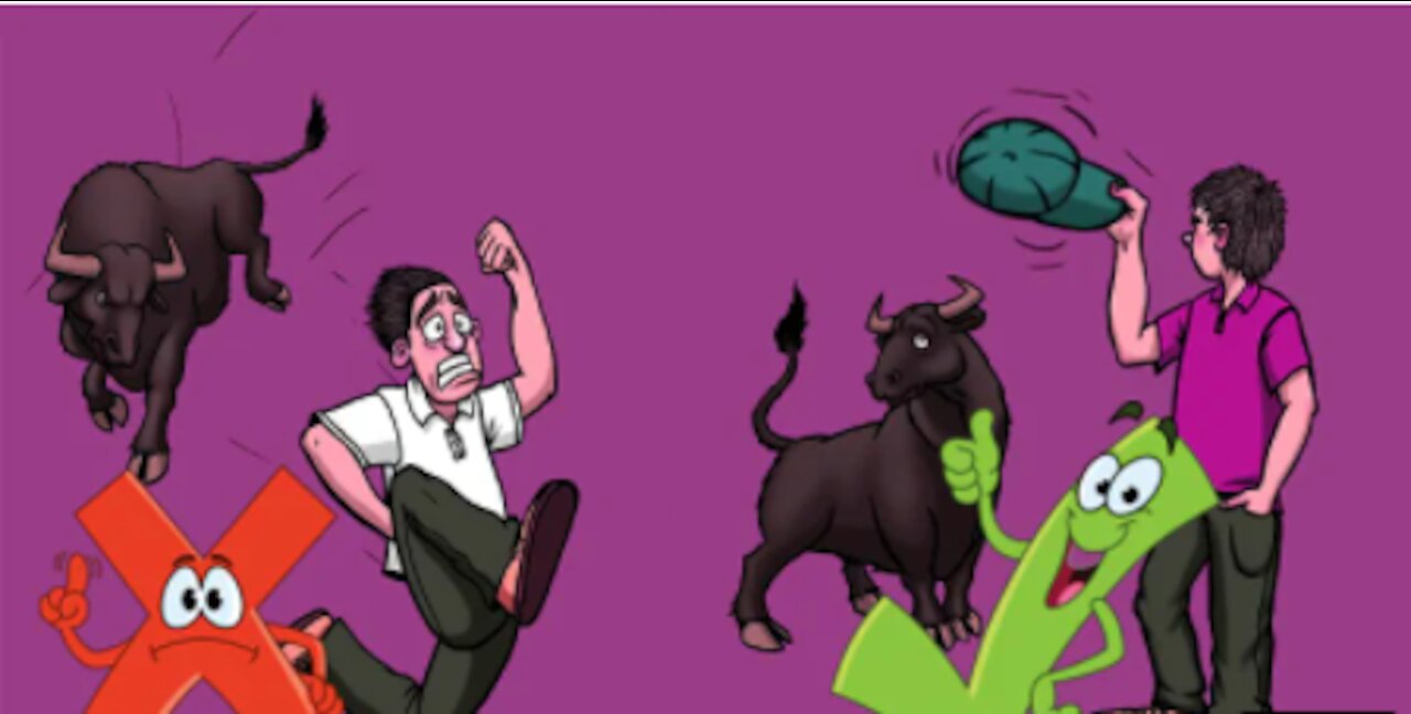 13 Tips To survive wild animal attacks