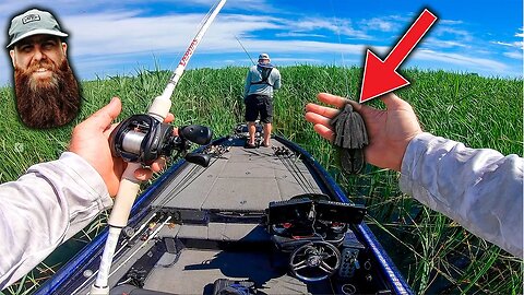 Searching THICK Grass for GIANT Bass w/ BIG Jigs!