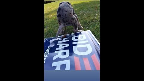 The War Room with Owen Shroyer (06/21/2022)