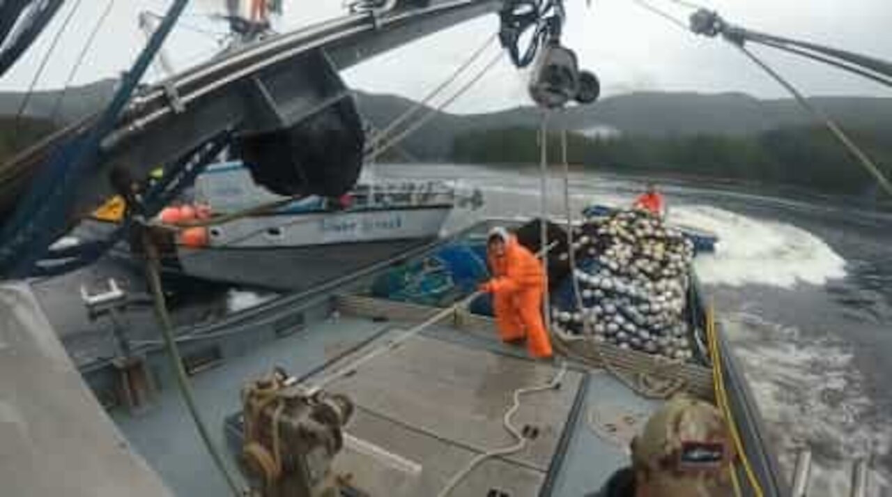 Violento impatto tra navi da pesca in Alaska