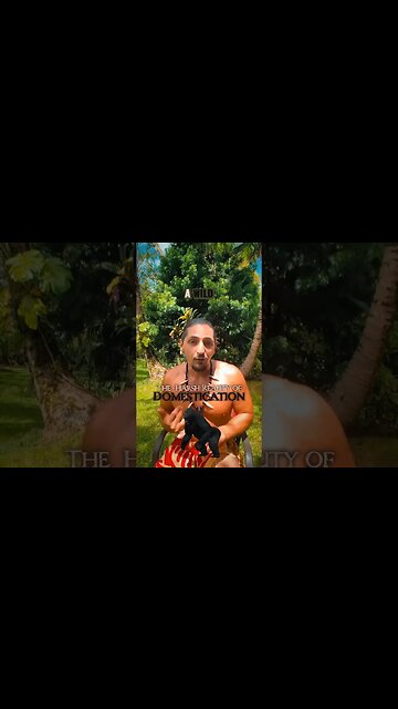 The Harsh Reality of Domestication