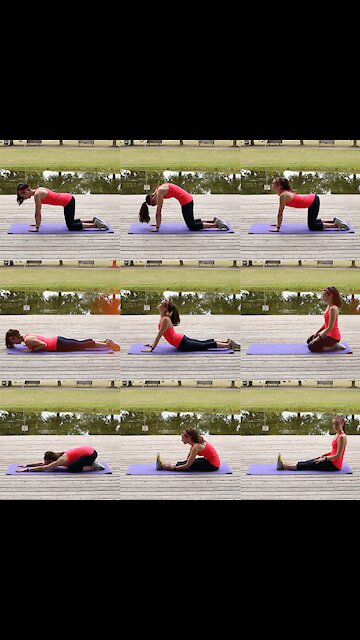 Stretches for Back Pain [GMG Originals]