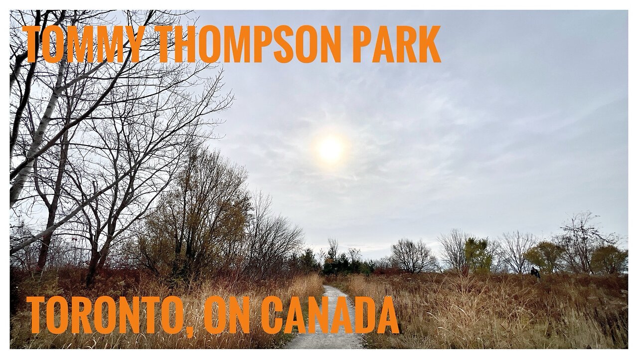 Relive Hiking |Tommy Thompson Park |Urban Wilderness | Bird-Watching |Toronto, ON 🇨🇦