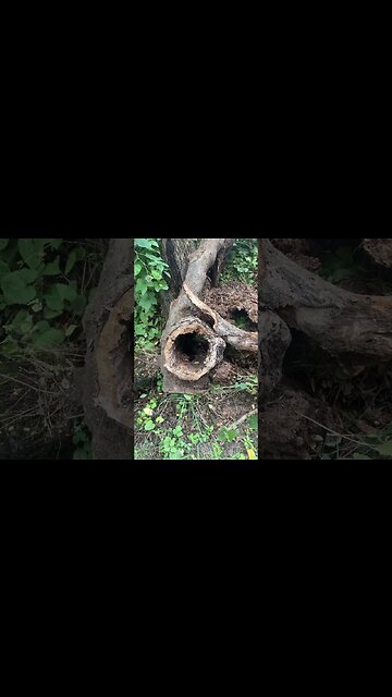 Hole down the middle