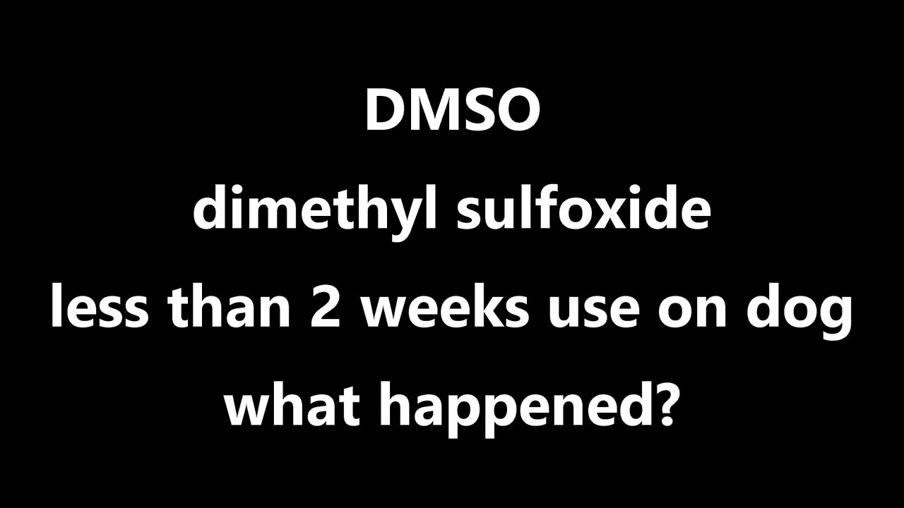 DMSO dimethyl sulfoxide less than 2 weeks use on dog what happened?