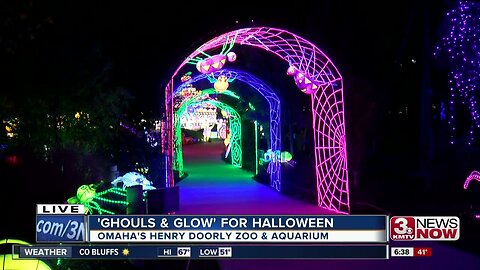 Gouls and Glow at Omaha Zoo