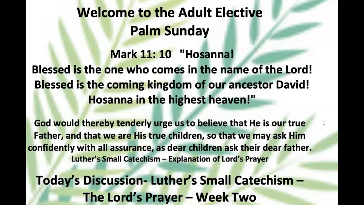 21-03-28 Sunday Elective - Small Catechism - Lord's Prayer - part 2