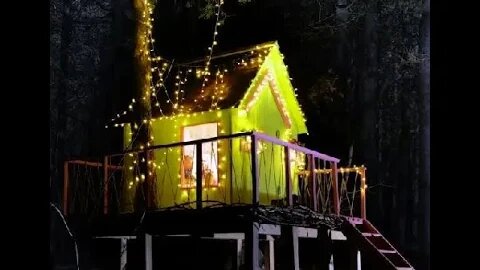Beautiful tree house created from a scratch!