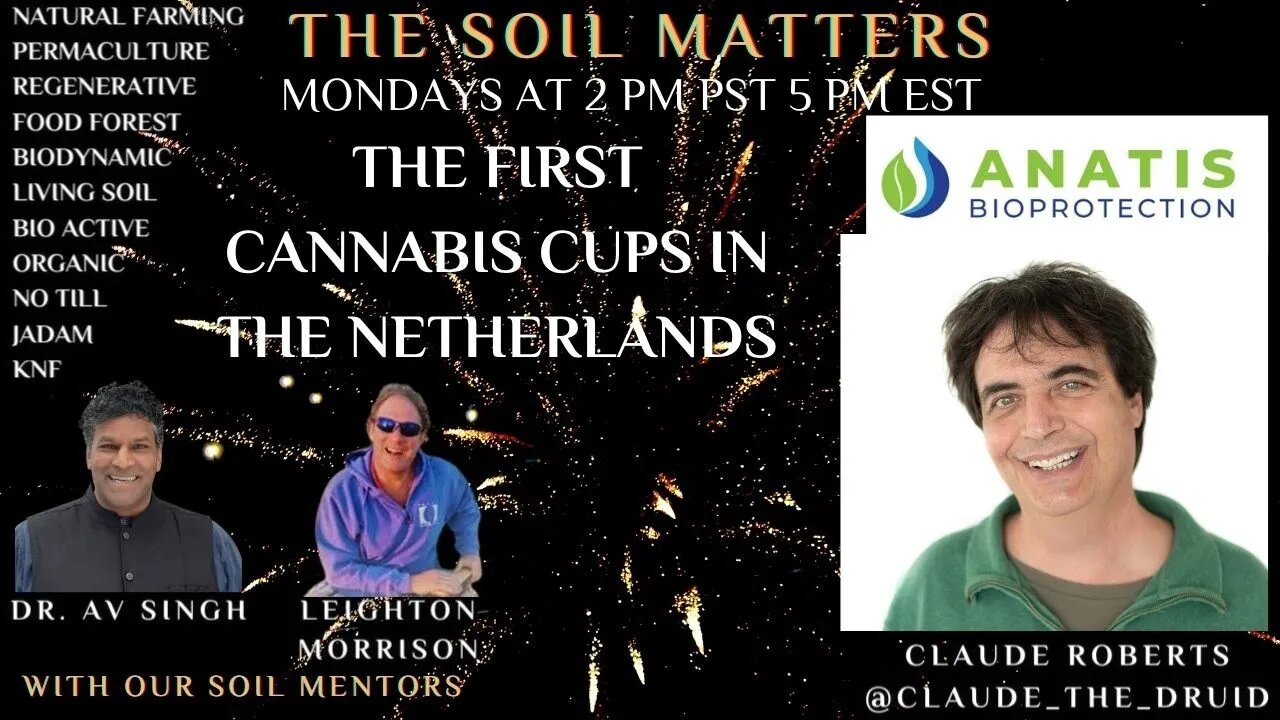 The First Cannabis Cups In The Netherlands