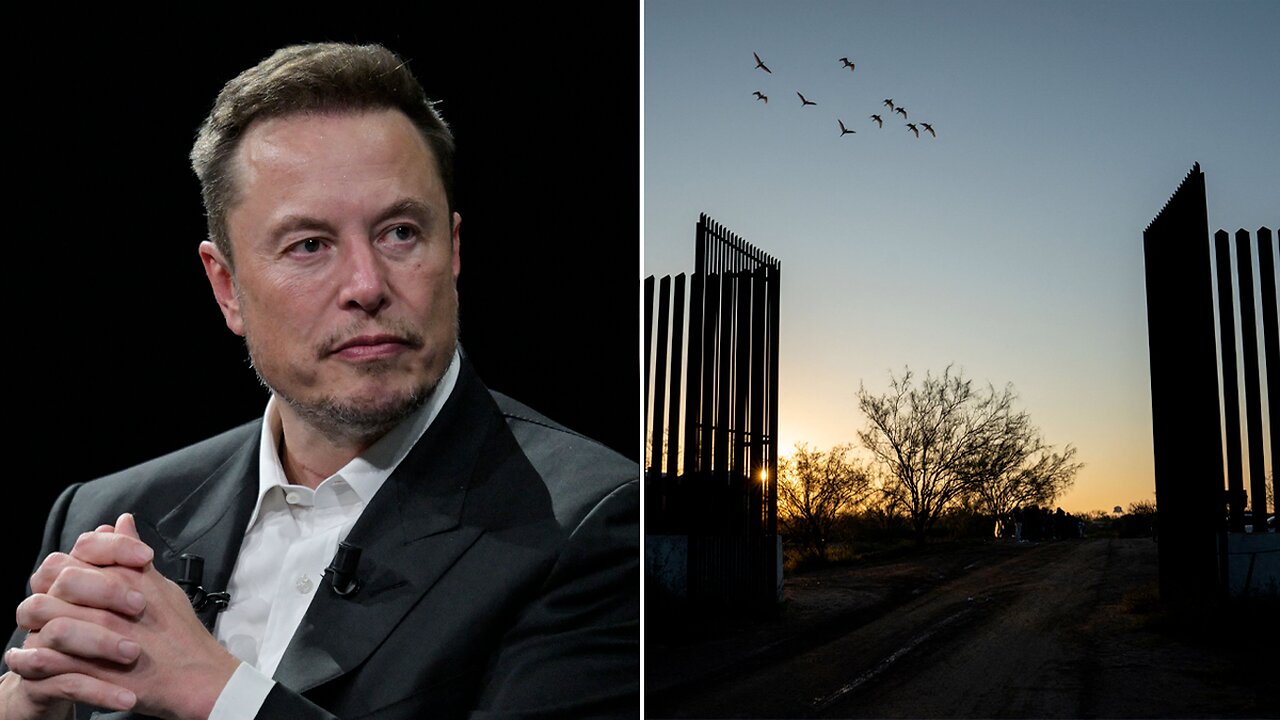 Elon Wants a Border Wall, Online Grifters Exposed (Episode #75)