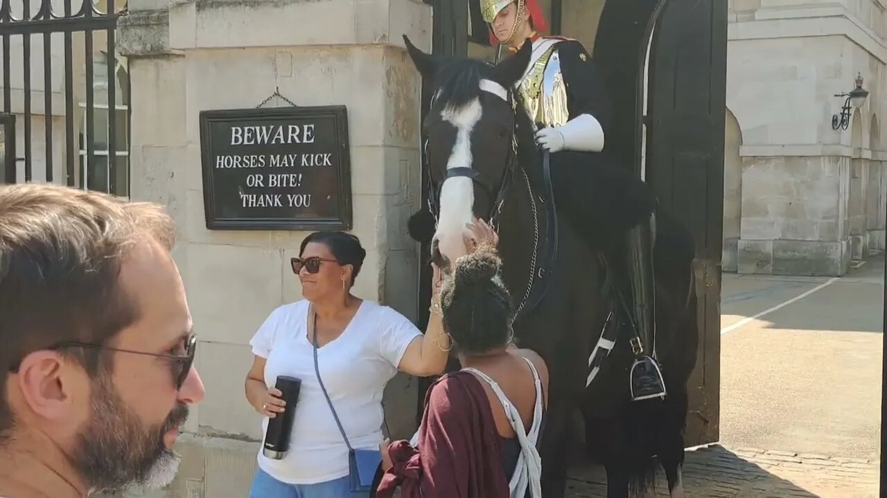 So many getting away with touching the reins #horseguardsparade