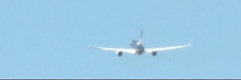 Danny Scavino at it Again