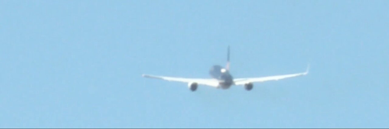 Danny Scavino at it Again