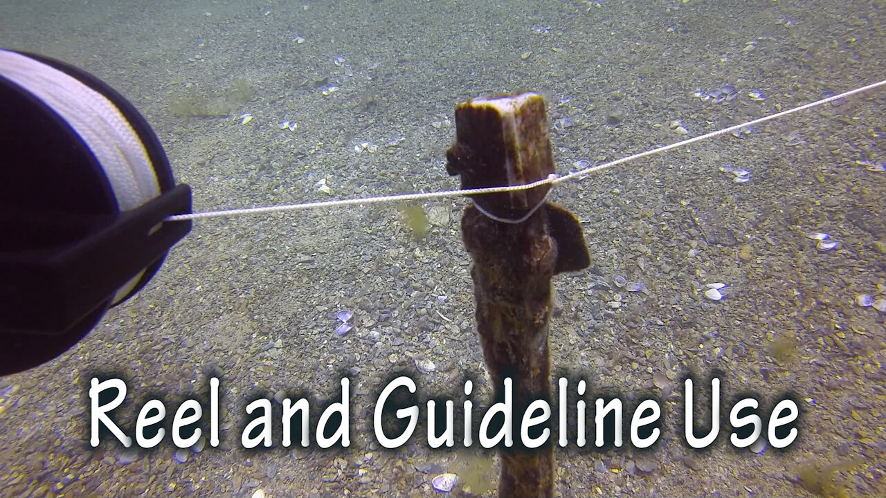 Diving Skills - Reel and Guideline Use