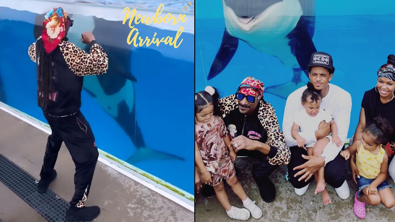 Snoop Dogg Gets Into Dance Contest Wit Whale During Grandkids Sea World Visit!🕺🏾