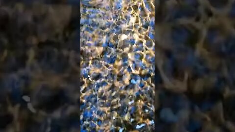 💧FABULOUS FLOW🎨 #water #waterart #visualart #visual #h20 #watercolor #watershow #waterworld #flow