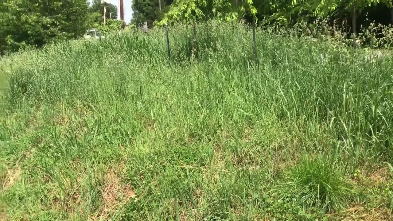 Who’d want to live next to a neighbor like this?