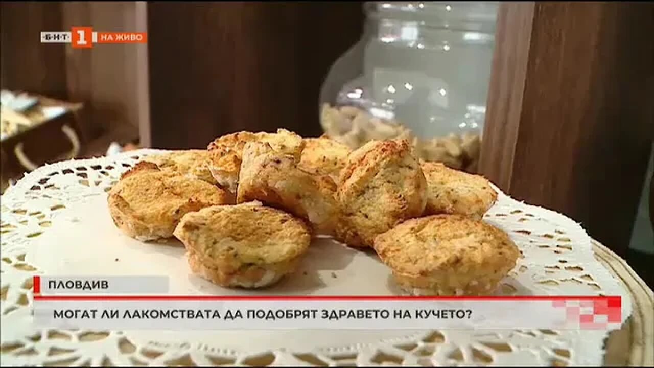 Могат ли лакомствата да подобрят здравето на кучето