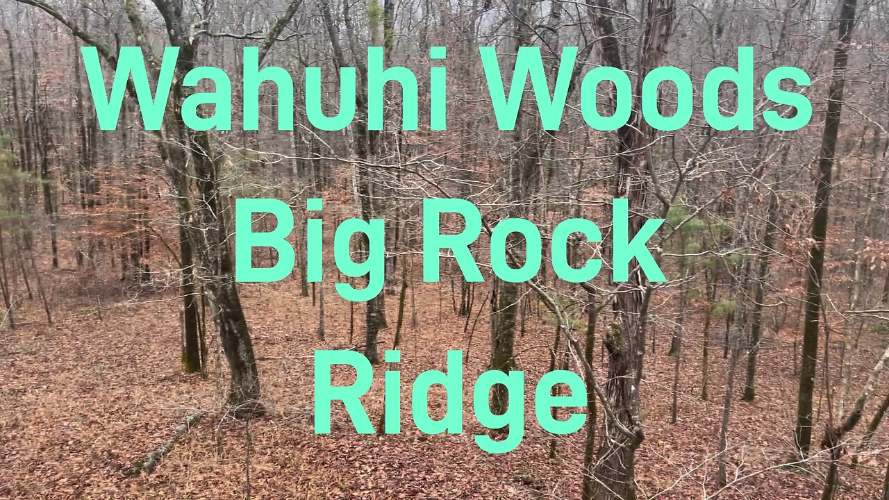 Wahuhi Woods - Big Rock Ridge - Dec 26 - S1