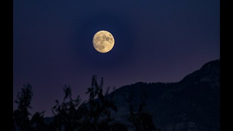 Of Elk migrations and full moons