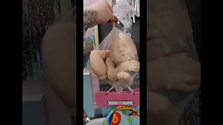 Womb Bag - How Babies Are Born #shorts