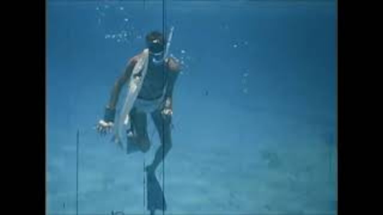 Freediving Diver Spearfishing Barracuda in 1960s Cozumel Mexico Silent Film