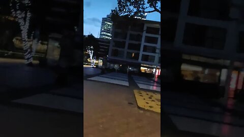 Lit up trees