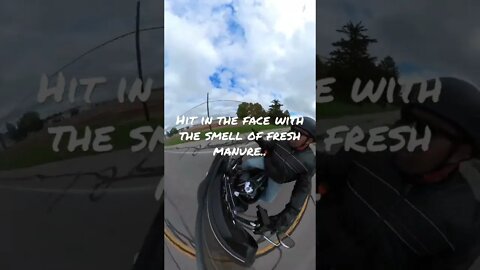 Unusual smells riding. Like and subscribe!#shorts #harleydavidson #motorcycle #funny #insta360