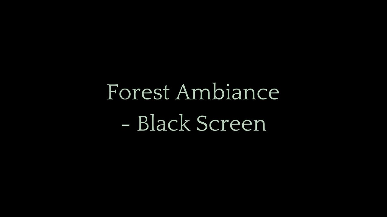 Whispers of the Forest: Ambient Forest Sounds for Deep Sleep & Relaxation - Black Screen