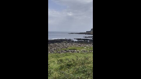 Giants Causeway