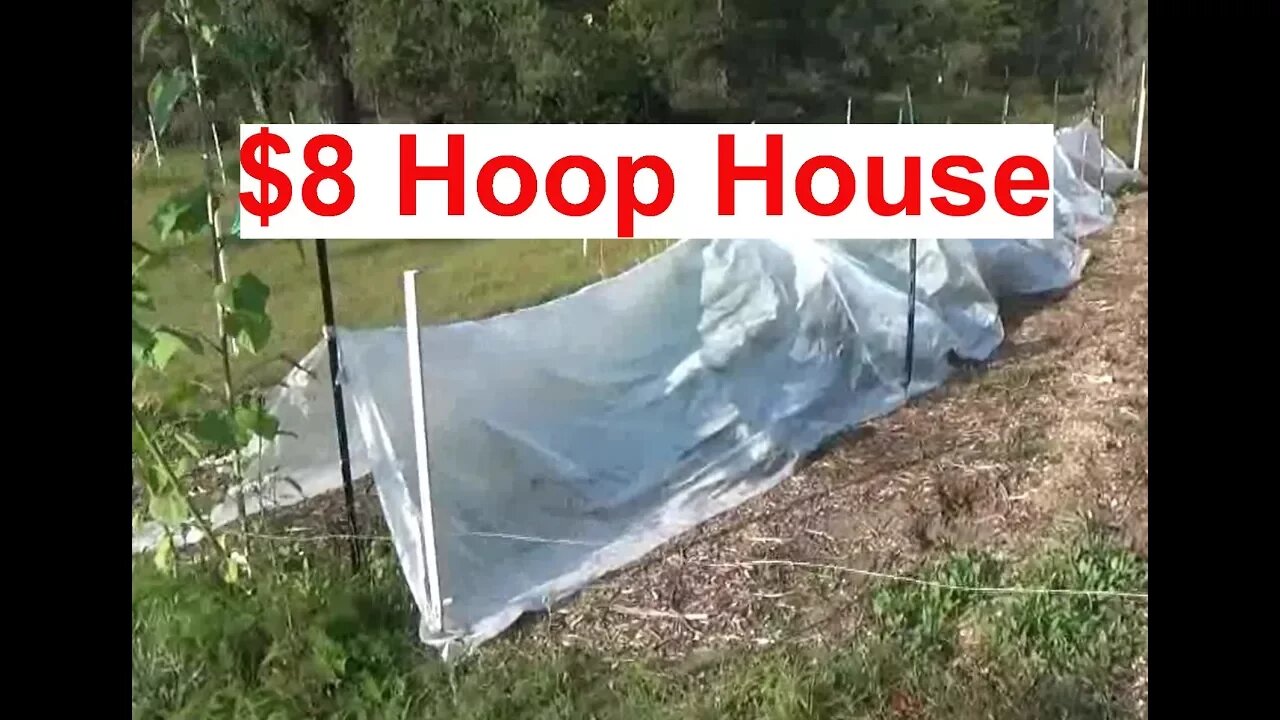 Simple Cheap Hoop House Alternative & Extend Growing Season