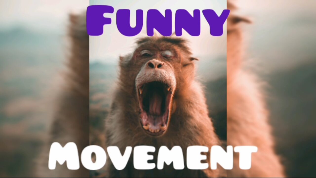 Hilarious funny moments