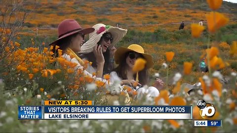 Rules broken at wildflower super bloom