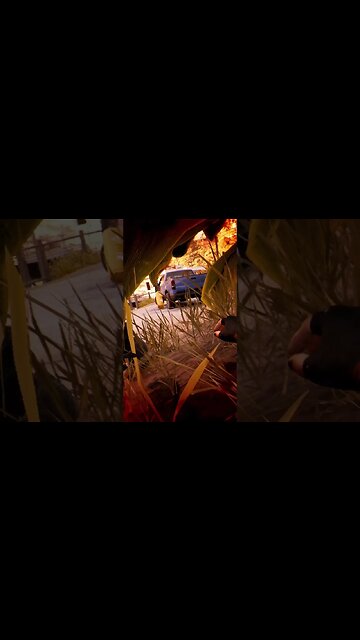 Dead Island 2 One Shot