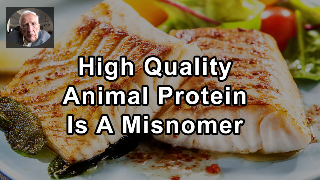 High Quality Animal Protein Is A Misnomer - T. Colin Campbell, PhD - Interview