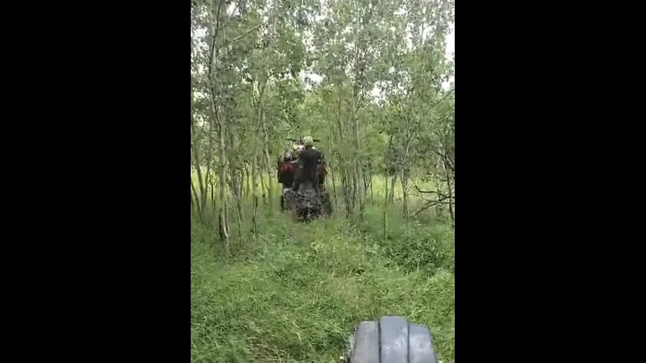 Tree climbing atv