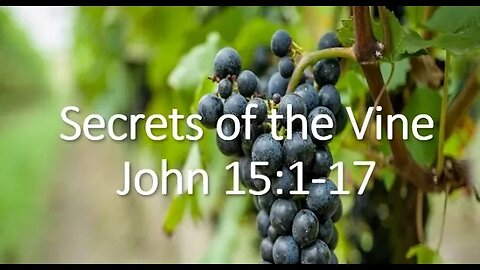 Secrets of the Vine