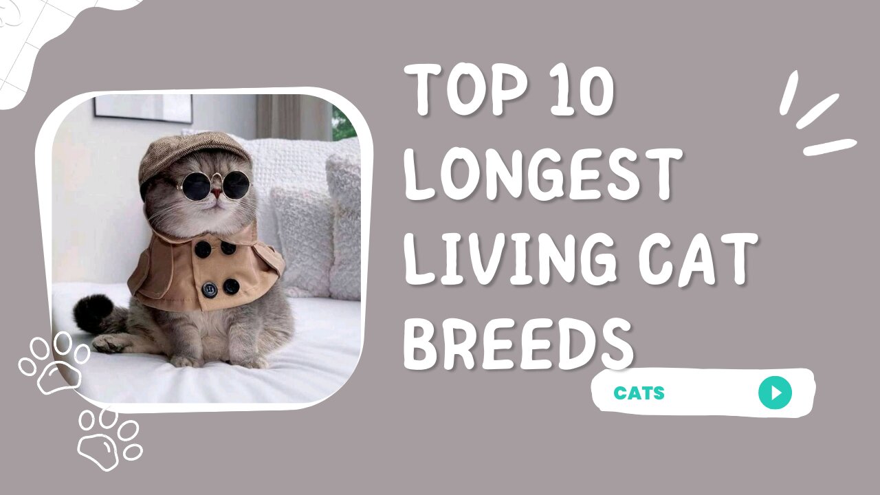 TOP 10 LONGEST LIVING CAT BREEDS