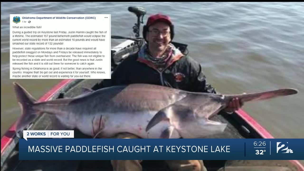 Massive Paddlefish Caught At Keystone Lake