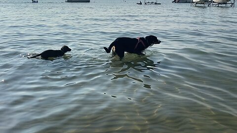 Lake Adventures