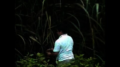 Costa Rica 2005
