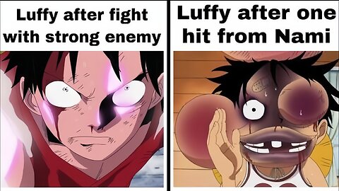 Funny One Piece Memes