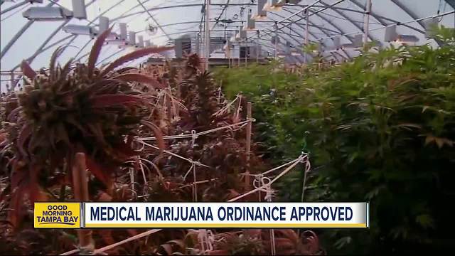 Medical Marijuana Ordinance approved in Tampa