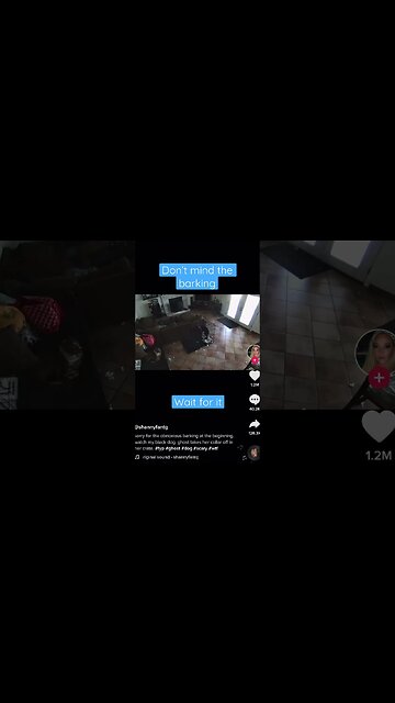 Ghost Removes Dog collar while still in cage 😨