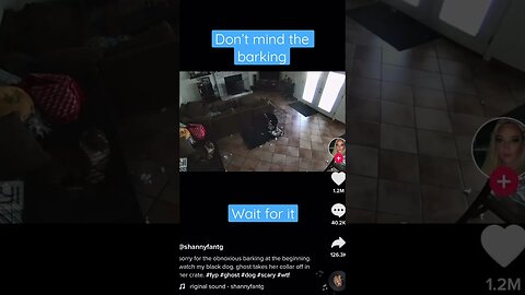 Ghost Removes Dog collar while still in cage 😨