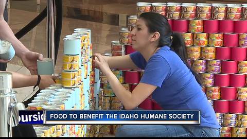 Charitable art on display at Boise Towne Square Mall