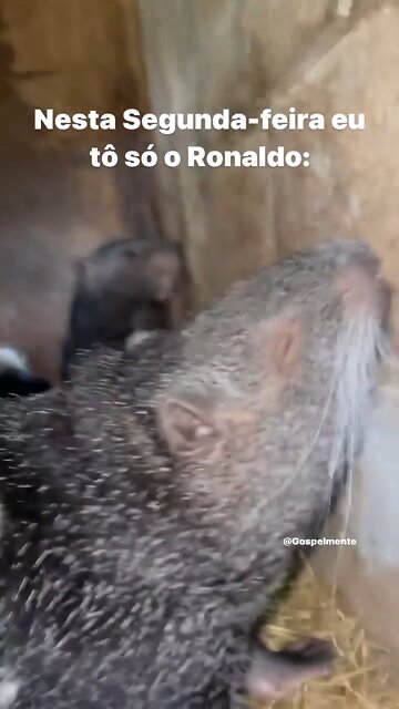 Marca aí um amigo (a) que é desse jeito aí na segunda-feira 😃😃😃